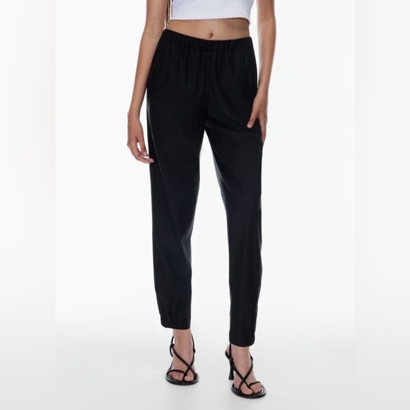 Aritzia Pants - Aritzia Babaton Linen Dexter Pant black